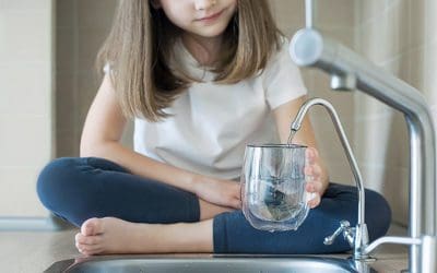 What Does a Whole House Water Filter System Do?